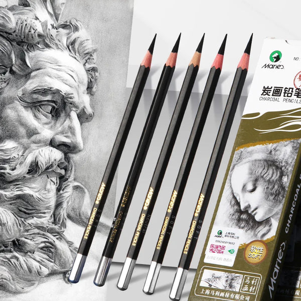AOOKMIYA 12pcs Marie's Charcoal Pencils Set for Drawing, Sketching,Shading,for Artists,Professional - Soft Medium and Hard Tips Blending