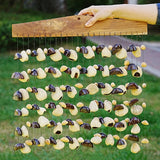 Natural Fruit Shell Sound Beam Sound Healing Yoga Meditation Seed Shell Plant Fruit Wind Chimes Outdoor Percussion Instruments