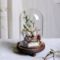 AOOKMIYA ART+ Creative Gifts Butterfly Specimens Plant Specimens Dried Flowers Handmade Ornaments Insects Home Immortal Flowers Display Gifts Micro Landscape
