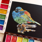 New! Japan Kuretake GANSAI TAMBI Watercolor Set-12/24 Colors Professional Non-Toxic Grade Art Supplies for Artists