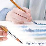 12Pcs Artist Paint Brush Set - Versatile Pointed & Round Tips for Watercolor, Acrylics, Ink, Gouache, Oil, Tempera