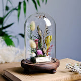 AOOKMIYA Real Beetle Insect Specimen Butterfly Micro Landscape Glass Cover Display Still Life Ornament Science Plant Creative Gift