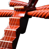 AOOKMIYA Professional Pipa Aldult Lute Chinese Ethnic Music Instrument Traditional Oriental Stringed Musical Instruments with Accessories AOOKMIYA.COM