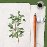 AOOKMIYA Dip Pen Solid Wood Pole Strong Water Storage Calligraphy Fountain Pen Painting Hook Pen Comics Student Art Supplies