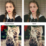 AOOKMIYA Meian Photo Custom Cross Stitch Embroidery Kits 11CT Cotton Thread Painting DIY Needlework DMC Set Counted Printed on Canvas