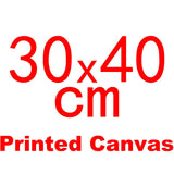 AOOKMIYA Meian Photo Custom Cross Stitch Embroidery Kits 11CT Cotton Thread Painting DIY Needlework DMC Set Counted Printed on Canvas