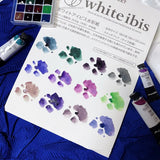 AOOKMIYA MAIRTINI Layered Precipitation Color Watercolor Paint Artist Acuarela Nail Art Painted Aquarelle 12 Colors 1ML/2ML Art Supplies