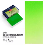 Russia 3K White Night Ladoga Academy Solid Watercolor Single Block 41 Color Watercolor Paint Full Block Beginner Art Supplies