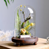 AOOKMIYA Real Beetle Insect Specimen Butterfly Micro Landscape Glass Cover Display Still Life Ornament Science Plant Creative Gift