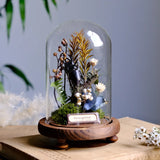 AOOKMIYA Real Beetle Insect Specimen Butterfly Micro Landscape Glass Cover Display Still Life Ornament Science Plant Creative Gift