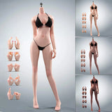 T303P 1/6 Scale Seamless Anime Female Figure | Realistic Skin & Articulated Joints | Super Flexible Collectible Art Toy