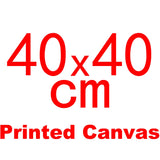 AOOKMIYA Meian Photo Custom Cross Stitch Embroidery Kits 11CT Cotton Thread Painting DIY Needlework DMC Set Counted Printed on Canvas