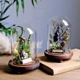 AOOKMIYA Real Beetle Insect Specimen Butterfly Micro Landscape Glass Cover Display Still Life Ornament Science Plant Creative Gift