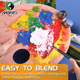 AOOKMIYA Marie's 31 pcs Oil Paint Set,7 pcs Brushes & 24 Colors 12ml/0.42oz Tubes,Oil Based Pigments & Brushes Kit for Canvas,Craft