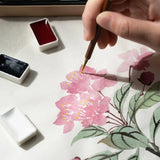 AOOKMIYA Rubens 12/24 Colors Solid Chinese Painting Paint Large Plate Full of Ink Watercolor Painting Pigment Professional Art Supplies