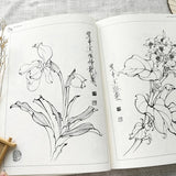 Wang Daozhong Meticulous Painting Tutorial Book Flower Insect Line Drawing Manuscript Painting Album Detailed Painting Technique