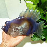 Natural Agate Stone Crystal Druzy Geode Bougainvillea Fish Statue Meditation Energy Healing Feng Shui Crystal Room Decoration