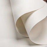 AOOKMIYA 20 Sheets of Round Sketch Paper 25cm160g Thick Drawing Paper Practice Drawing Special Art Supplies for Adult Sketching