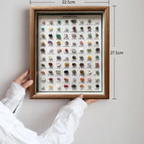 100 Kinds of Natural Ore Specimen Ornaments, with Glass Dust Cover, Decorative Paintings, Crystal Gems, Birthday Gifts