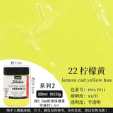 France Pebeo Bright Acrylic Pigment 300ML Professional Art DIY Hand Painted Stone Wall Graffiti  Stone Painting Shoes Coating