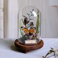 AOOKMIYA ART+ Creative Gifts Butterfly Specimens Plant Specimens Dried Flowers Handmade Ornaments Insects Home Immortal Flowers Display Gifts Micro Landscape