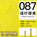 Winsor & Newton Winton Oil Color, 37ml (1.25-oz) Tube Art Supplies Aquarela Good Transparency, Excellent Tinting Strength