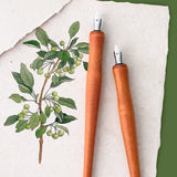 AOOKMIYA Dip Pen Solid Wood Pole Strong Water Storage Calligraphy Fountain Pen Painting Hook Pen Comics Student Art Supplies