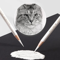 AOOKMIYA 12pcs Marie's White Charcoal Pencils Set,Sketch Highlight Pencils,for Sketching,Shading,Blending,Supplies for Beginners,Artists