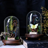 AOOKMIYA ART+ Creative Gifts Butterfly Specimens Plant Specimens Dried Flowers Handmade Ornaments Insects Home Immortal Flowers Display Gifts Micro Landscape