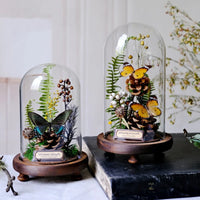 AOOKMIYA ART+ Creative Gifts Butterfly Specimens Plant Specimens Dried Flowers Handmade Ornaments Insects Home Immortal Flowers Display Gifts Micro Landscape