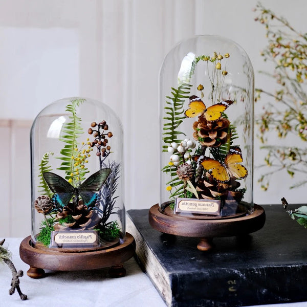 AOOKMIYA ART+ Creative Gifts Butterfly Specimens Plant Specimens Dried Flowers Handmade Ornaments Insects Home Immortal Flowers Display Gifts Micro Landscape