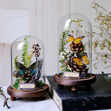AOOKMIYA ART+ Creative Gifts Butterfly Specimens Plant Specimens Dried Flowers Handmade Ornaments Insects Home Immortal Flowers Display Gifts Micro Landscape