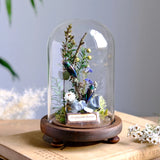 AOOKMIYA Real Beetle Insect Specimen Butterfly Micro Landscape Glass Cover Display Still Life Ornament Science Plant Creative Gift