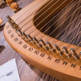 AOOKMIYA 16-string Plate-style Lyar Stringed Instruments Portable 21-string Small Harp Beginners Practice Musical Instrument Adults AOOKMIYA.COM