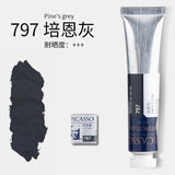 Artists Solid Watercolor Pigments Picasso Tubular Color Block Beginners Hand Painting Materials Art Students painting Supplies