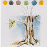 Schincke 2024 New Color Artist's Organic Nature Series Tubular Watercolor Pigment Good Diffusivity Stable Color  Water Colours