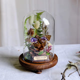 AOOKMIYA ART+ Creative Gifts Butterfly Specimens Plant Specimens Dried Flowers Handmade Ornaments Insects Home Immortal Flowers Display Gifts Micro Landscape
