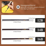 AOOKMIYA Marie's 12pcs Artist Pencils 12B/14B/16B,Black Graphite Core,Matte Pencil Set for Sketching,Drawing,Shading for Artists,Students
