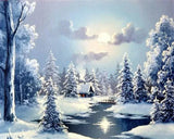 AOOKMIYA 218-378 Painting By Number Winter Landscape Home Decor For Unique Gift
