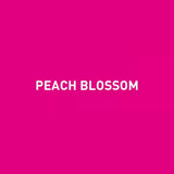 MIYA  Jelly Cup Gouache Refill Paint 18 Colors 2 pcs 30 ml Non-Toxic Professional Gouache Paints For Painting Art Supplies