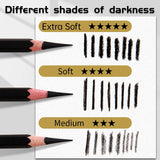 AOOKMIYA 12pcs Marie's Charcoal Pencils,Extra Soft/Soft/Medium Art Graphite Pencils Set for Drawing,Sketching,Shading,forArtists,Adults