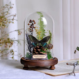 AOOKMIYA ART+ Creative Gifts Butterfly Specimens Plant Specimens Dried Flowers Handmade Ornaments Insects Home Immortal Flowers Display Gifts Micro Landscape