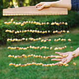 Natural Fruit Shell Sound Beam Sound Healing Yoga Meditation Seed Shell Plant Fruit Wind Chimes Outdoor Percussion Instruments