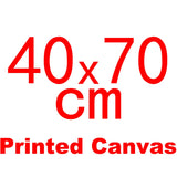 AOOKMIYA Meian Photo Custom Cross Stitch Embroidery Kits 11CT Cotton Thread Painting DIY Needlework DMC Set Counted Printed on Canvas