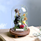 AOOKMIYA Real Beetle Insect Specimen Butterfly Micro Landscape Glass Cover Display Still Life Ornament Science Plant Creative Gift