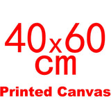 AOOKMIYA Meian Photo Custom Cross Stitch Embroidery Kits 11CT Cotton Thread Painting DIY Needlework DMC Set Counted Printed on Canvas