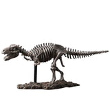 Office Resin Handicrafts Ornaments, Simulated Dinosaur Fossil Skeleton Ornaments, Personalized Gifts