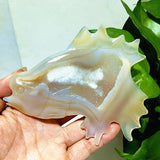 Natural Agate Stone Crystal Druzy Geode Bougainvillea Fish Statue Meditation Energy Healing Feng Shui Crystal Room Decoration