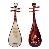AOOKMIYA Professional Pipa Aldult Lute Chinese Ethnic Music Instrument Traditional Oriental Stringed Musical Instruments with Accessories AOOKMIYA.COM