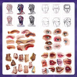 AOOKMIYA Procreate thick coated character illustration professional techniques